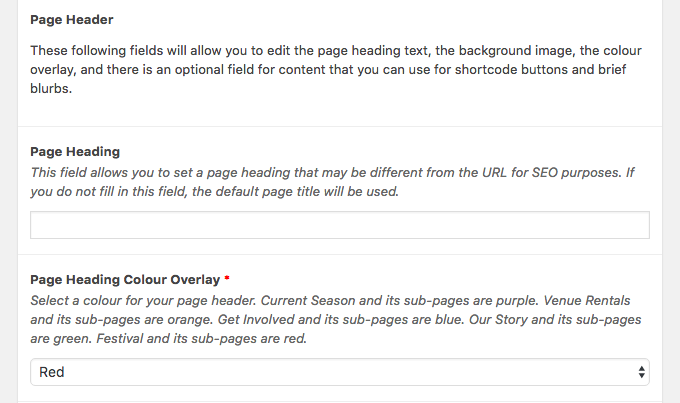 Screenshot of custom WordPress content block instructions