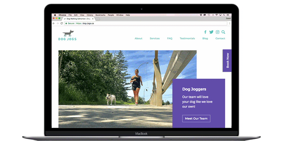 Dog Jogs home page parallax scroll