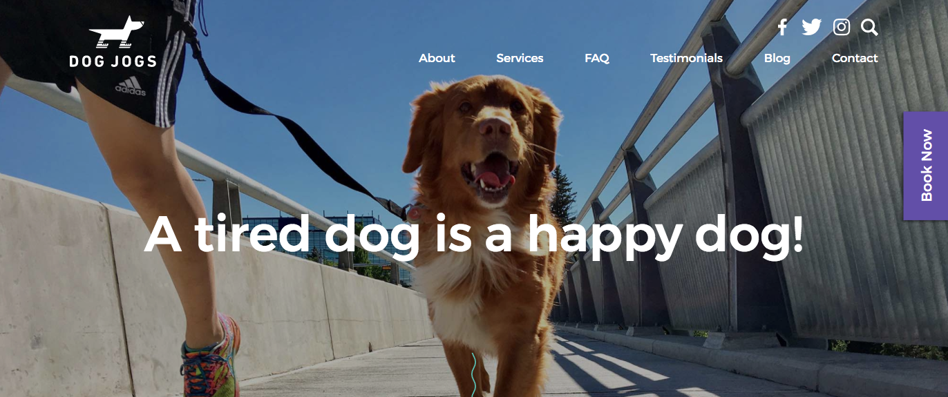 The Dog Jogs website header, title of which reads 