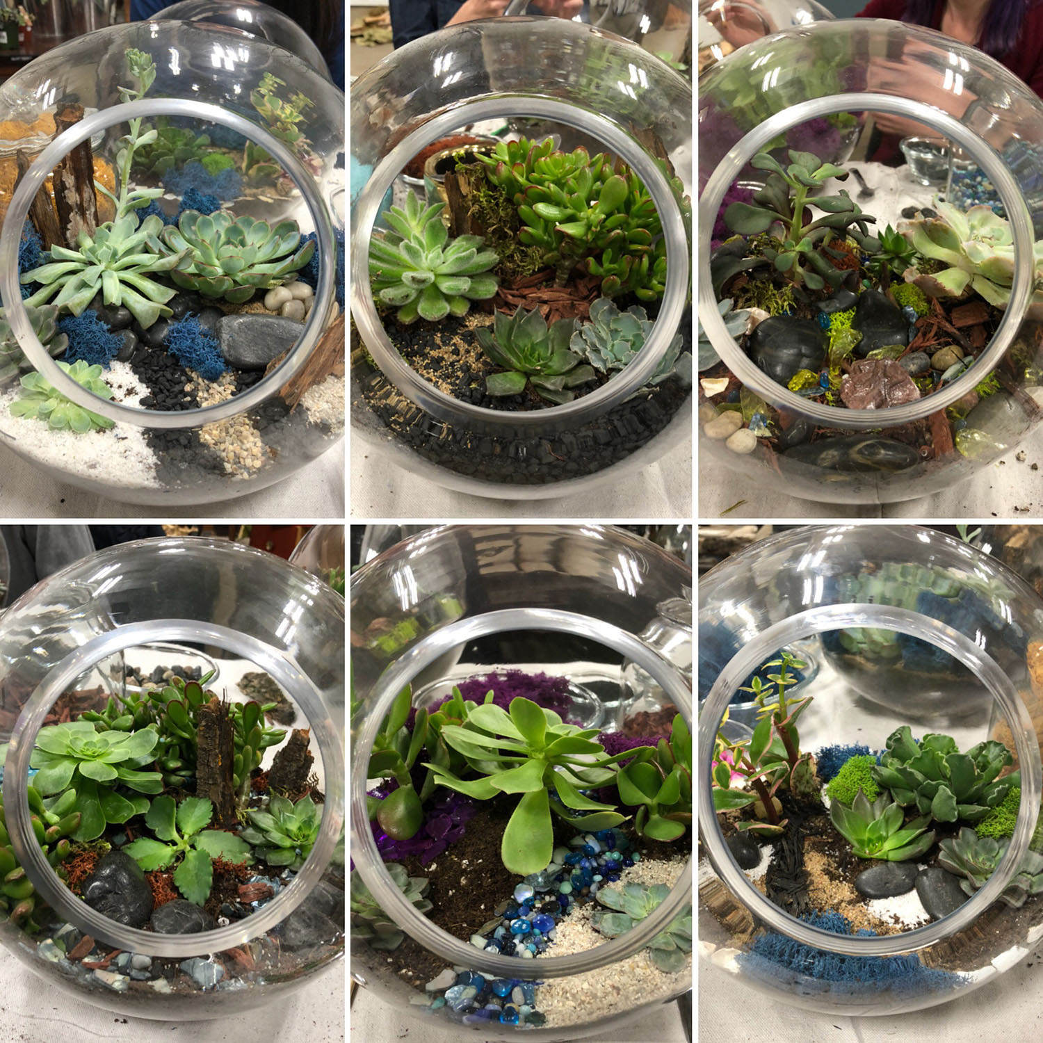 Six terrariums built by the Kick Point team are shown in a grid, three on top, three on the bottom.