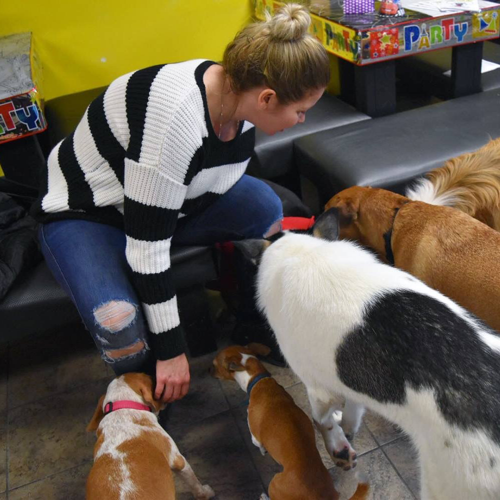 Melenie sits down and pets five dogs while at a pup party