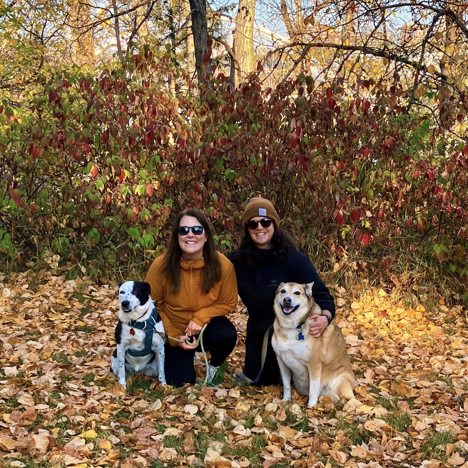 Emma, her wife Jen, and their dogs Penny and Pippin in front of autumnal foliage.